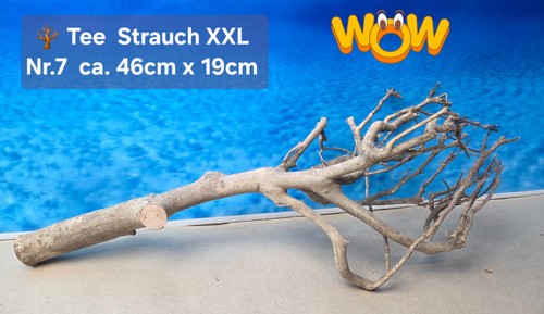 Xxl tee strauch aquarium - tee,