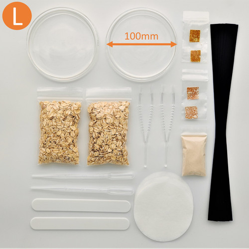 Set slime mold cultivation - l:,
