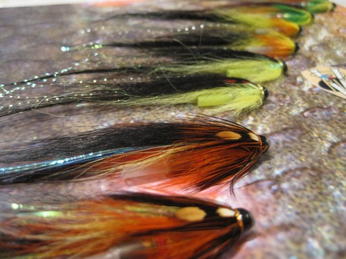 Fly 1 zoll - v,