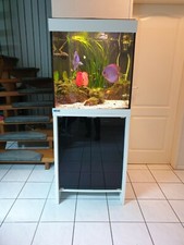 Aquarium MP Eheim Scuba Cube 270 komplett mit Unterschrank und Diskusfische