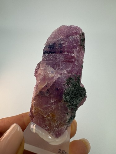Rubin saphir kristall - rubin, (126gr)