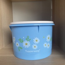 Tupperware Dose