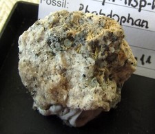 N24  Hauynkristalle mit Noesan aus der Eifel, Fo. In den Dellen