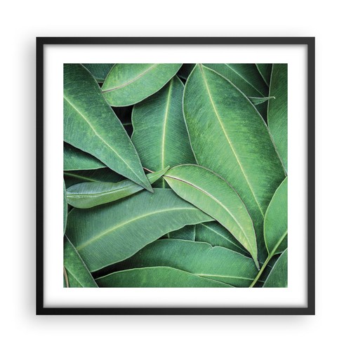 Wandbilder 50x50cm poster - wandbilder,