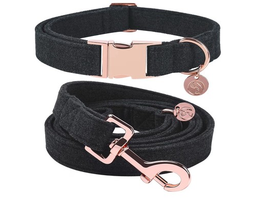 Hundehalsband und hundeleine - hundehalsband,