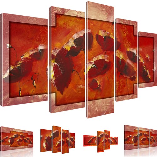 Bilder mohnblume kunstdruck - bilder,