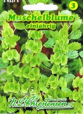 Muschelblume grünblühend - muschelblume,
