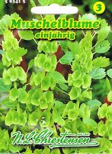 Muschelblume Grünblühend, für Trockenbinderei  'Molucella leavis' 583415