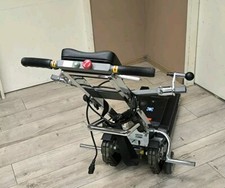 TGR Treppenraupe Jolly-