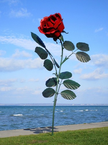 Riesige rose garten - riesige,