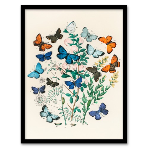 William forsell kirby - william,