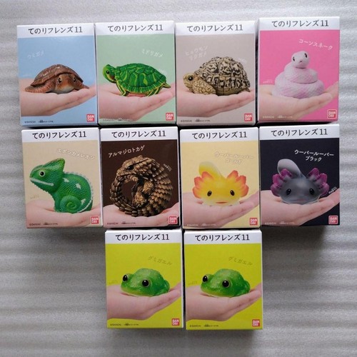 Tenori friends vol reptile - tenori,