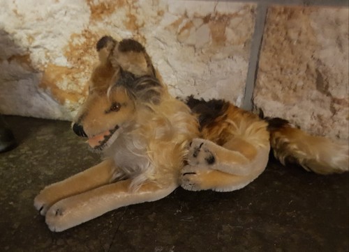 Steiff collie liegend alt - steiff, liegend,
