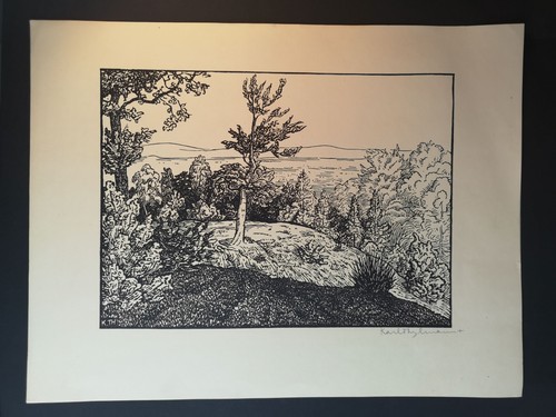 Original holzschnitt - original,