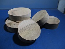 Walussbaum Schalenrohling