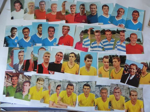 Bilder netzer moll - 49,