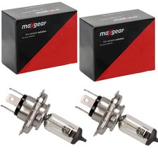 Maxgear hs1 glühlampen - glÜhlampen, 12v