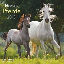 Pferde 2013