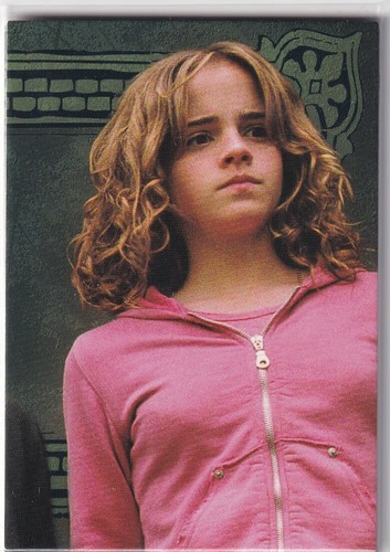 Panini harry potter - panini, evolution