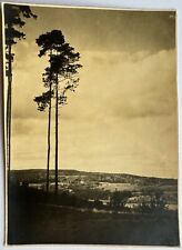 orig. Foto Wandervogel