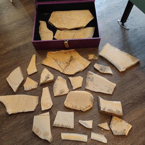 Lot sammlung dentriten - 🔥lot, sammlung,