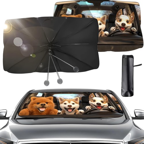 Auto frontscheibe - auto,