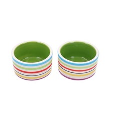 Kleintiere Maus Rennmaus