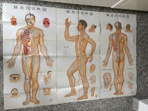 Chin lernposter - 3,