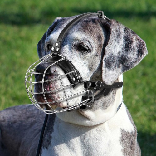 Hundemaulkorb aus metall - aus, mit