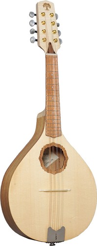 Carvalho blatt mandoline - blatt,