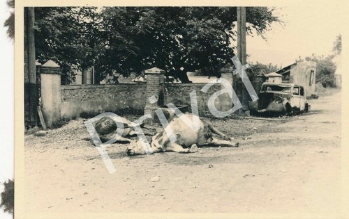Foto zerstörung ruinen - foto,