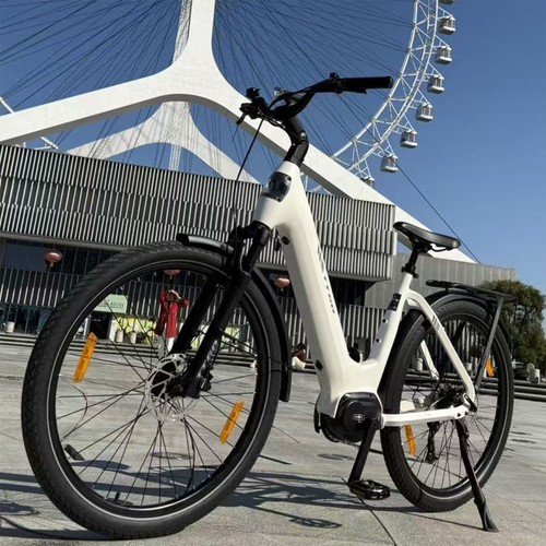 250w ttgo elektrofahrrad - z5,