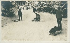 Ansichtskarte Rodelbahn Saig