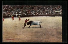 Banderillas, Torero mit