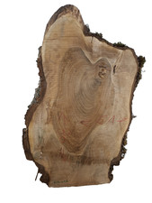 1x Nussbaum Ast Bohle Brett