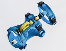 BlueGuard Sicherheitsgeschirr