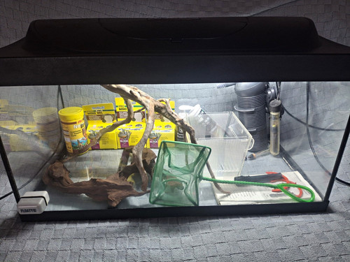 Tetra 30x30x60 aquarium mit - tetra,