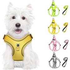 Reflektierendes Hundegeschirr