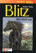 Blitz - Blitz bricht aus von