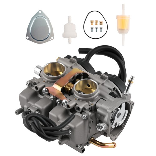 Vergaser for yamaha - vergaser, 660r