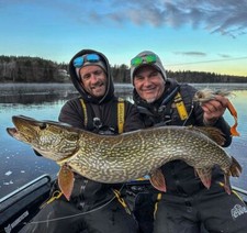 Strike Pro - CWC - Miuras Mouse Magnum- 30cm - alle Farben - 