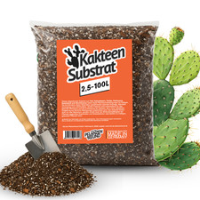 Premium Kakteen Substrat – Spezialerde für Kakteen, Sukkulenten & andere Wüstenp