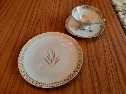Sammeltasse mit innendekor - sammeltasse,