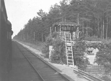 Foto REPRO 15x10 FOTOS 08