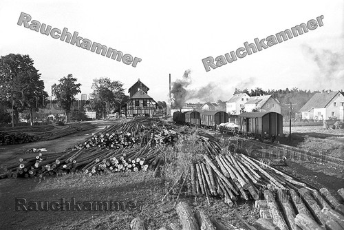 Fotoabzug 10x15 98 - pe-fotoabzug,