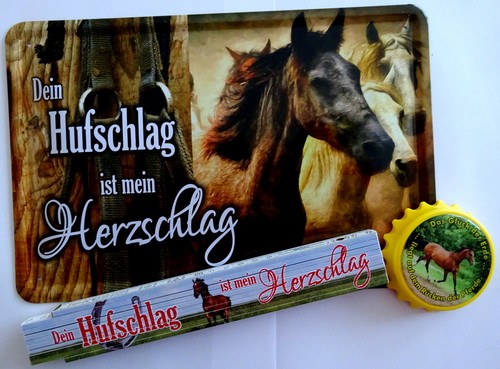 Geschenk set pferd reiten - geschenk,
