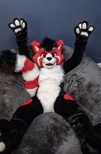 Furry Fursuit Maskottchen Hund