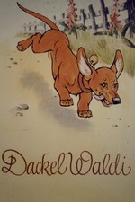 DDR Diafilm " Dackel Waldi "