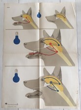  Deutsches Hygiene Museum