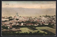 Sinzig, Blick auf den Ort, Ansichtskarte 